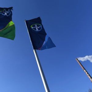 Bayer cresce e offre alla Ue la vendita dei semi per chiudere le nozze con Monsanto