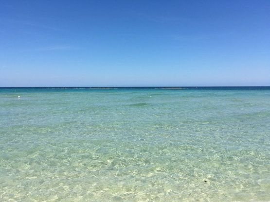Giornata mondiale dell'ambiente, le vostre foto / 1