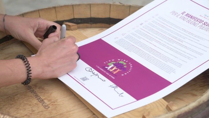 Slow Wine Coalition: nasce la rete per un vino buono, pulito e giusto