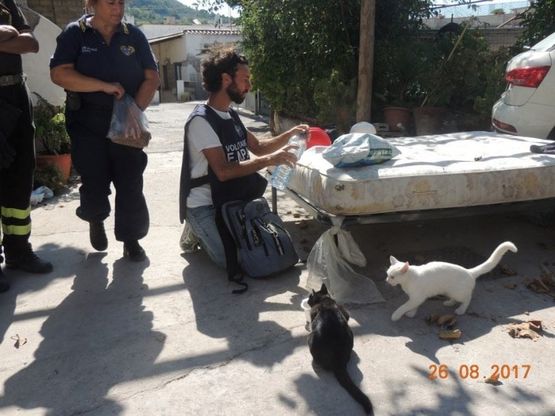 Ischia, anche gli animali tra i terremotati: l’Enpa soccorre cani, gatti, pappagalli e cavalli