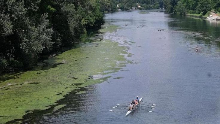 Siccità, il bacino del Po è già in crisi. Il mare è risalito di 20 chilometri. Irrigazione sospesa