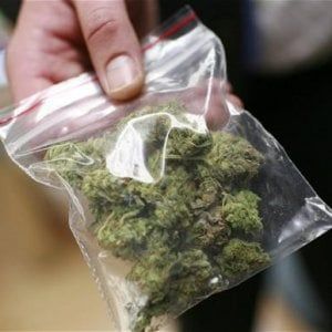 Bari, bimba di 3 anni a scuola con una bustina di marijuana: denunciato il padre