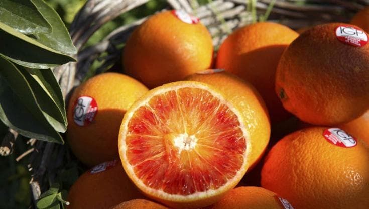 Più imballaggi ecosostenibili, accordo tra Filiera Legno e Consorzio di tutela Arancia rossa