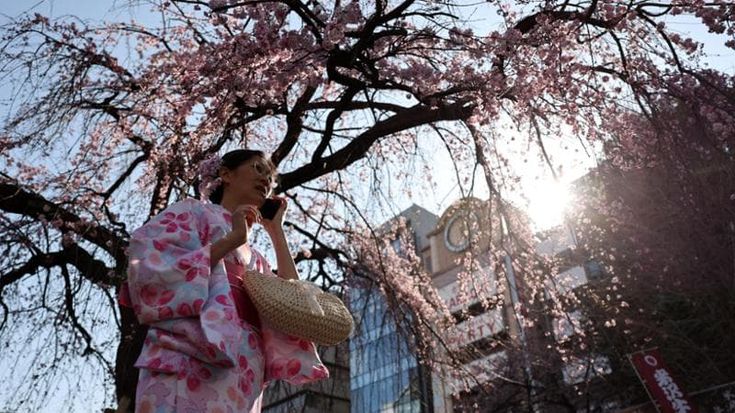Tokyo, via alla stagione dei ciliegi. Tutti nei parchi per selfie e picnic. “5 giorni in anticipo”