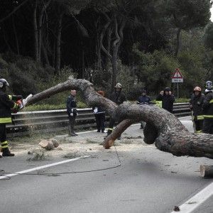 Allerta meteo, preallarme in cinque province