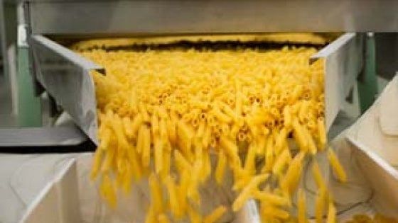 Pasta e grano estero: si riapre la polemica sul glifosato
