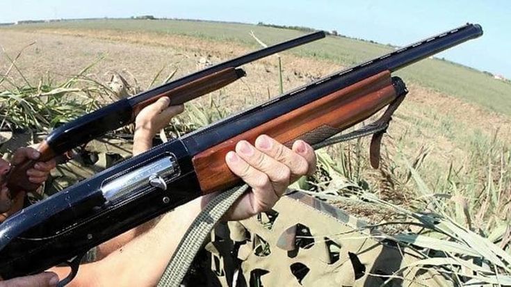 Oggi riapre la caccia per 430 mila. Gli ambientalisti: “A novembre la nuova legge distruttiva”