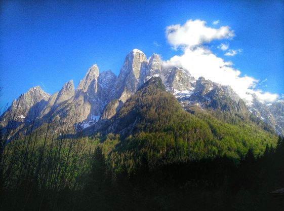 Giornata mondiale dell'ambiente, le vostre foto / 3