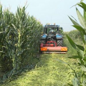 Sviluppo rurale, risorse a rischio nelle Regioni più lente