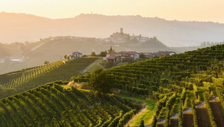 Vino, consiglio Uiv: "Impasse preoccupante su Ocm promozione e dealcolati"