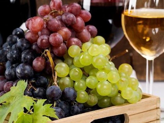 Effetto bio: crescono le vendite <br />dei vini "secondo natura"