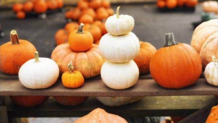La schiscetta: zucca e lenticchie per la pausa pranzo autunnale
