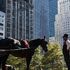 New York, cavallo si imbizzarrisce a Central Park, muore un turista. Vietate le carrozze