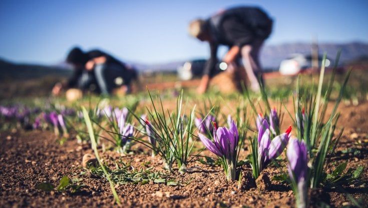 Adotta un artigiano e il suo borgo, sarai "Azionista della bellezza e del gusto"