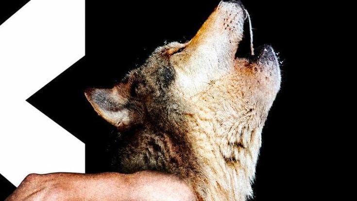 Ravenna Nightmare Film Fest 2026 arriva in streaming su MYmovies ONE