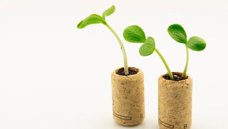 Come riciclare i tappi di sughero: idee utili per isolare e decorare