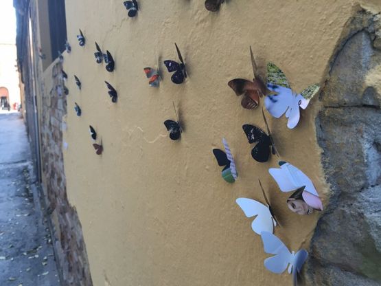 Bologna, nei luoghi del degrado spuntano farfalle di carta