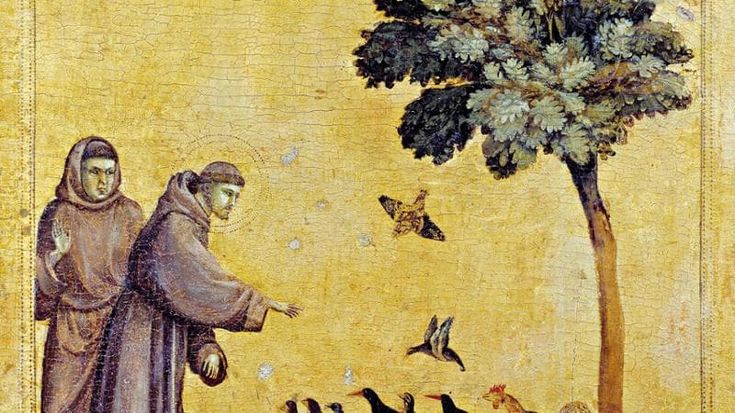 Perché Francesco è il santo patrono della nostra identità