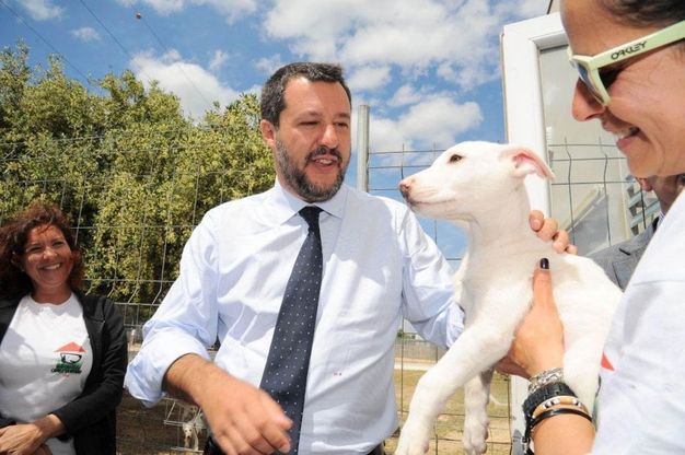 Salvini visita il canile di Bari, in posa anche con i cuccioli