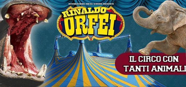 È morto Rinaldo Orfei, il più giovane della dinastia del Circo