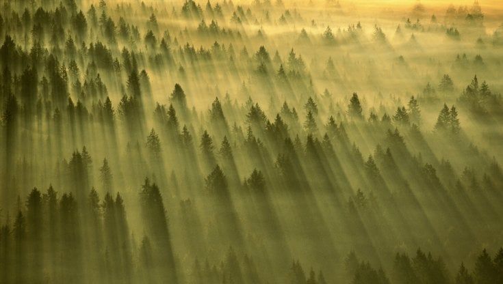 Tracciamento delle emissioni di carbonio: nuova blockchain per EY