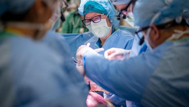 Spina bifida, per la prima volta dimostrata sicurezza del trattamento in utero con cellule staminali