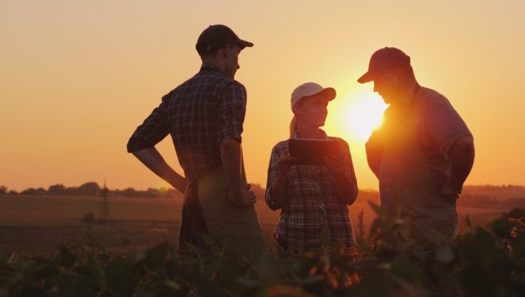 Olio, farina, caffè e latte: l’agroalimentare è un ottimo affare di famiglia
