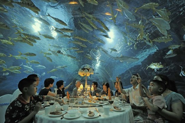 Cina, a cena nell'acquario