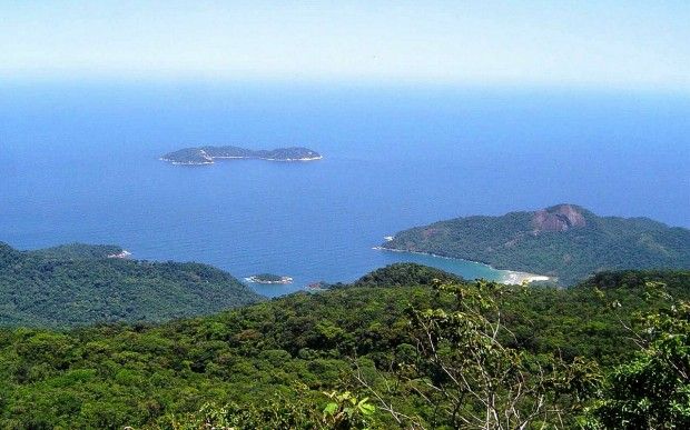 Brasile. Tra dinosauri e Capibara, a tutto Pantanal