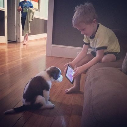 Usa, "Il cane è una tua responsabilità": bambino di 4 anni lo educa con YouTube