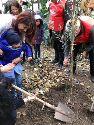 Piante d'ulivo nelle scuole: a Foggia l'iniziativa dei pensionati per gli studenti