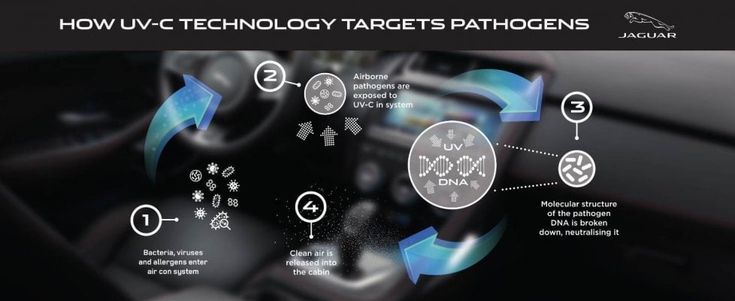 Batteri e virus: così l'auto li distruggerà