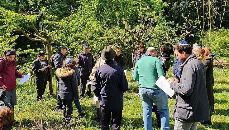 Birkat ha-Ilanot, all'orto botanico del Valentino la comunità ebraica benedice gli alberi in fiore