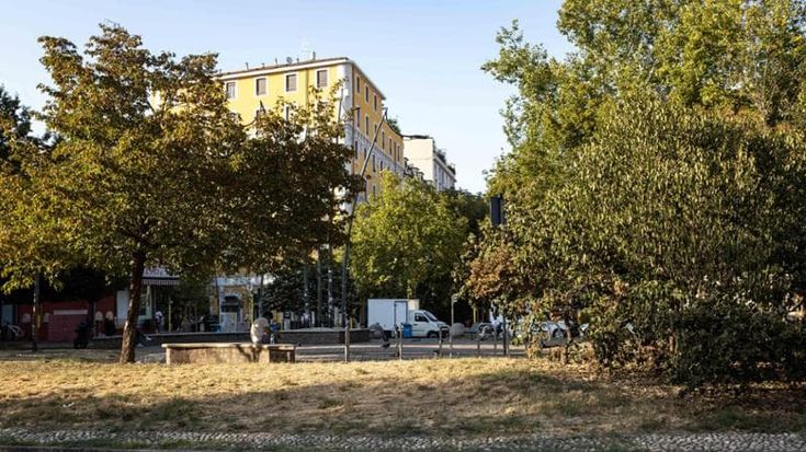 Emergenza caldo anche per alberi e giardini, le segnalazioni dai quartieri: “Stanno morendo”