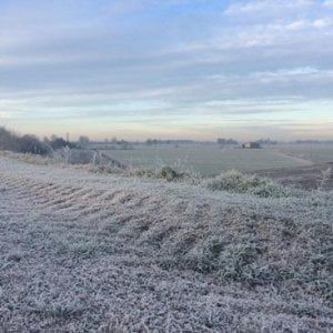 Qualità dell'aria a Parma:  valori sotto il livello limite, niente misure emergenziali