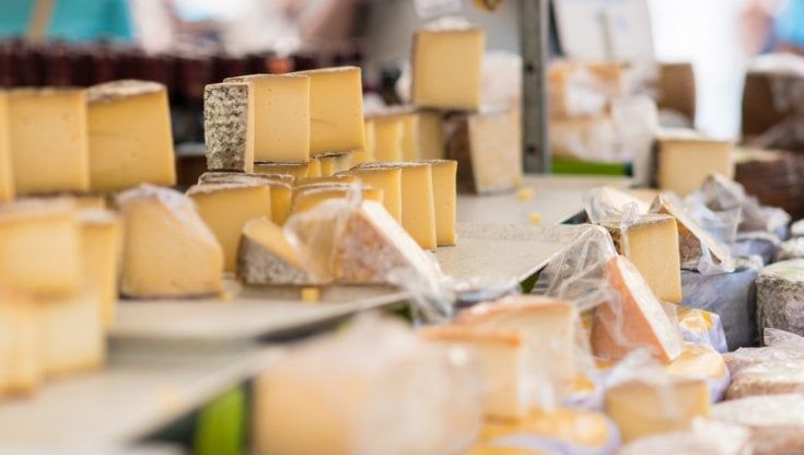 Vola l'export di formaggi e latticini: in sei mesi incremento a doppia cifra
