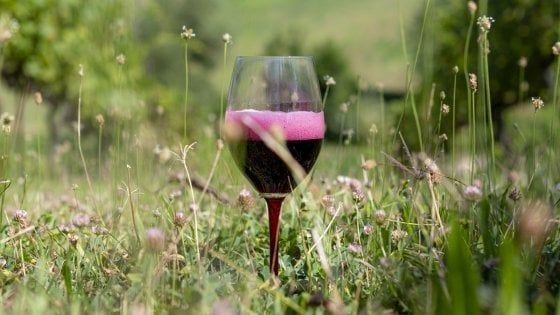 Lambrusco, nasce ufficialmente il Consorzio di Tutela
