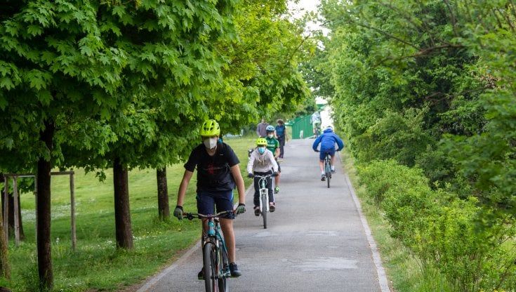Nuovi alberi e un bosco di ciliegi cosa i fiorentini chiedono per la città