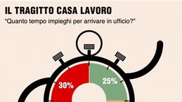 La survey di Ing in pillole