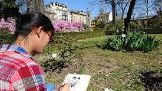Musei dell'Università di Firenze, riapre il Giardino dei Semplici