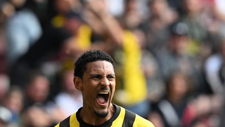 Haller uber alles 