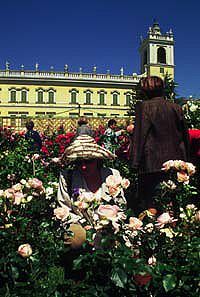 Giardinaggio nel segno del giglio