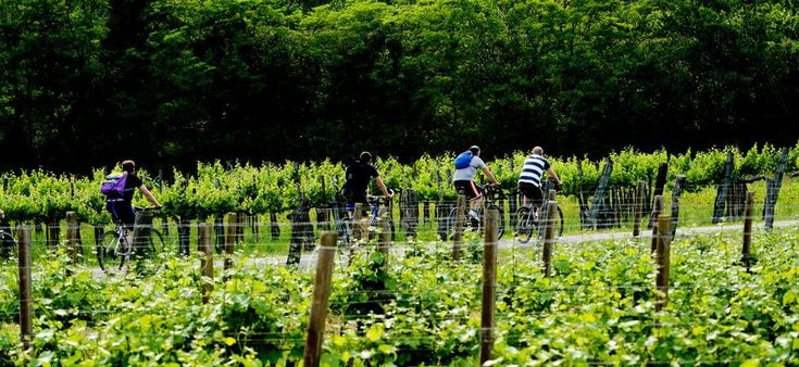 L'ora del turismo lento: 24mila progetti in corso in Italia