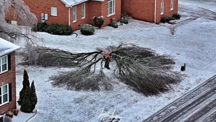 Crepe da gelo, così negli Usa gli alberi “esplodono”