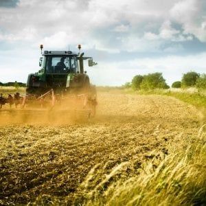 Trattori agricoli, biancheria intima, pizza a taglio: tutte le incongruenze degli ultimi decreti