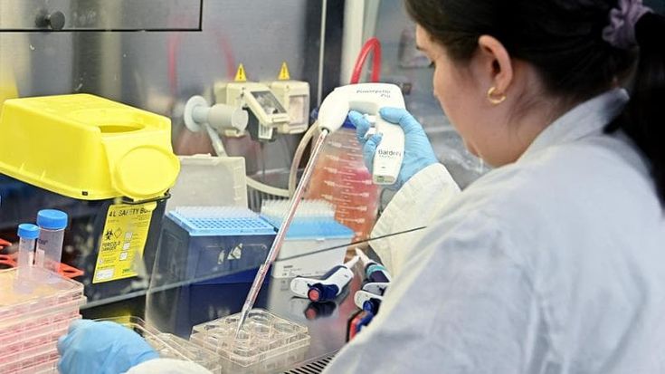 Sei progetti di ricerca a Candiolo con i fondi ricavati dal 5x1000