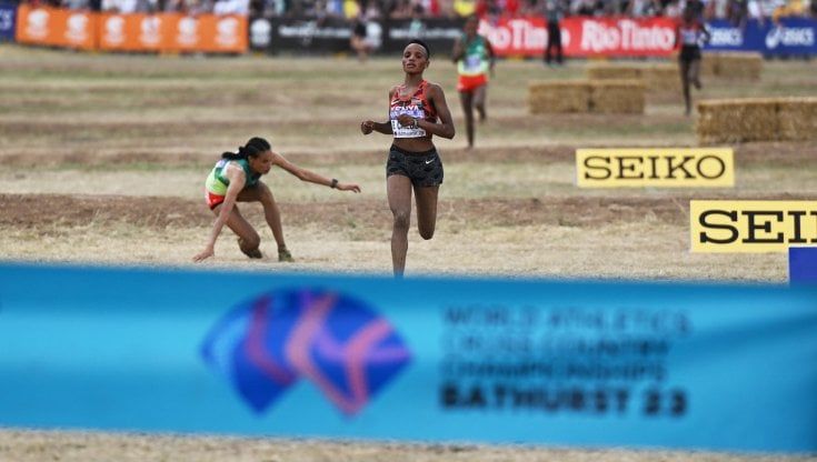 Mondiali cross, Letesenbet Gidey come Dorando Pietri: crolla a 20 metri dalla vittoria