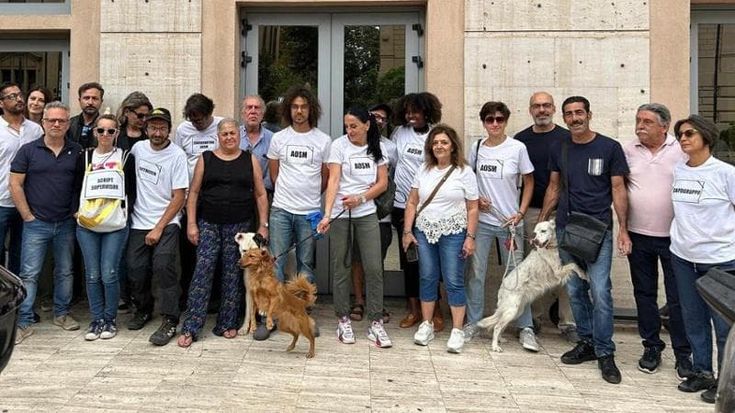 Cinema in Sicilia, ultimo ciak. Pochi fondi: i produttori rinunciano