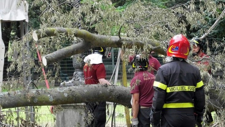 Uccise da un albero alle Cascine, andrà a processo anche ex dirigente di Palazzo vecchio 