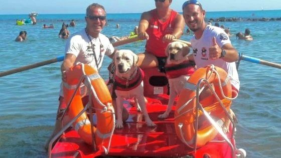 Rischiano annegamento, cani salvataggio in azione a Ostia ponente